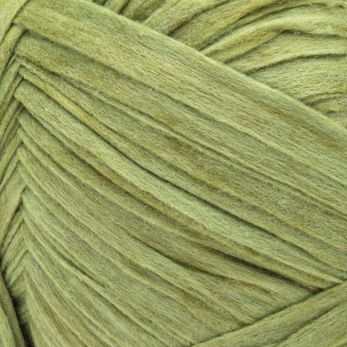 Cypress