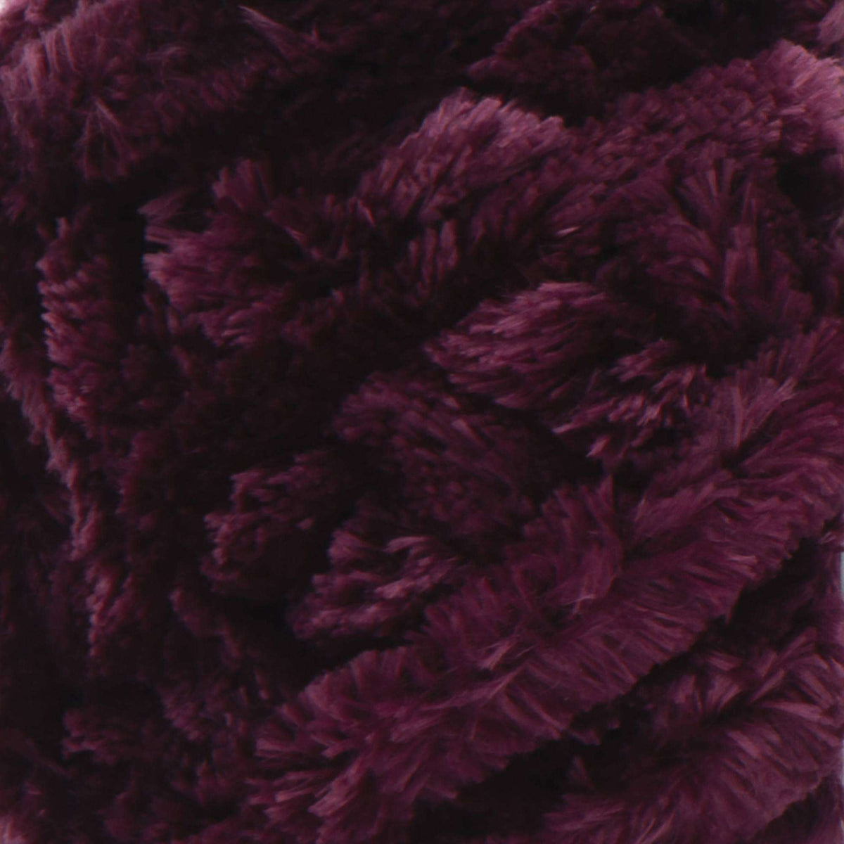Burgundy Plum