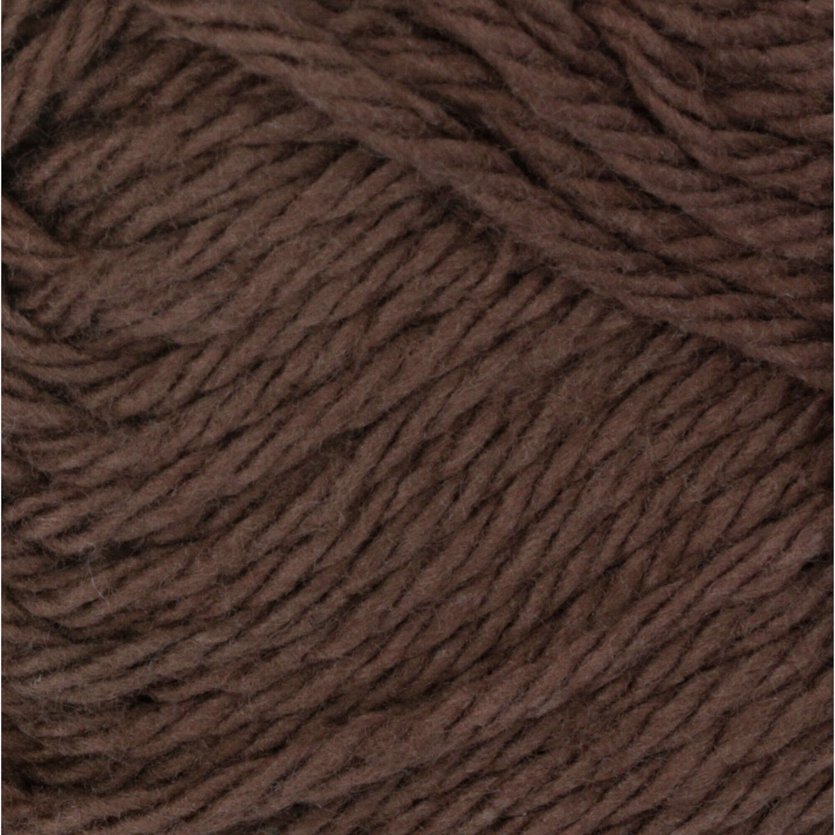 Warm Brown
