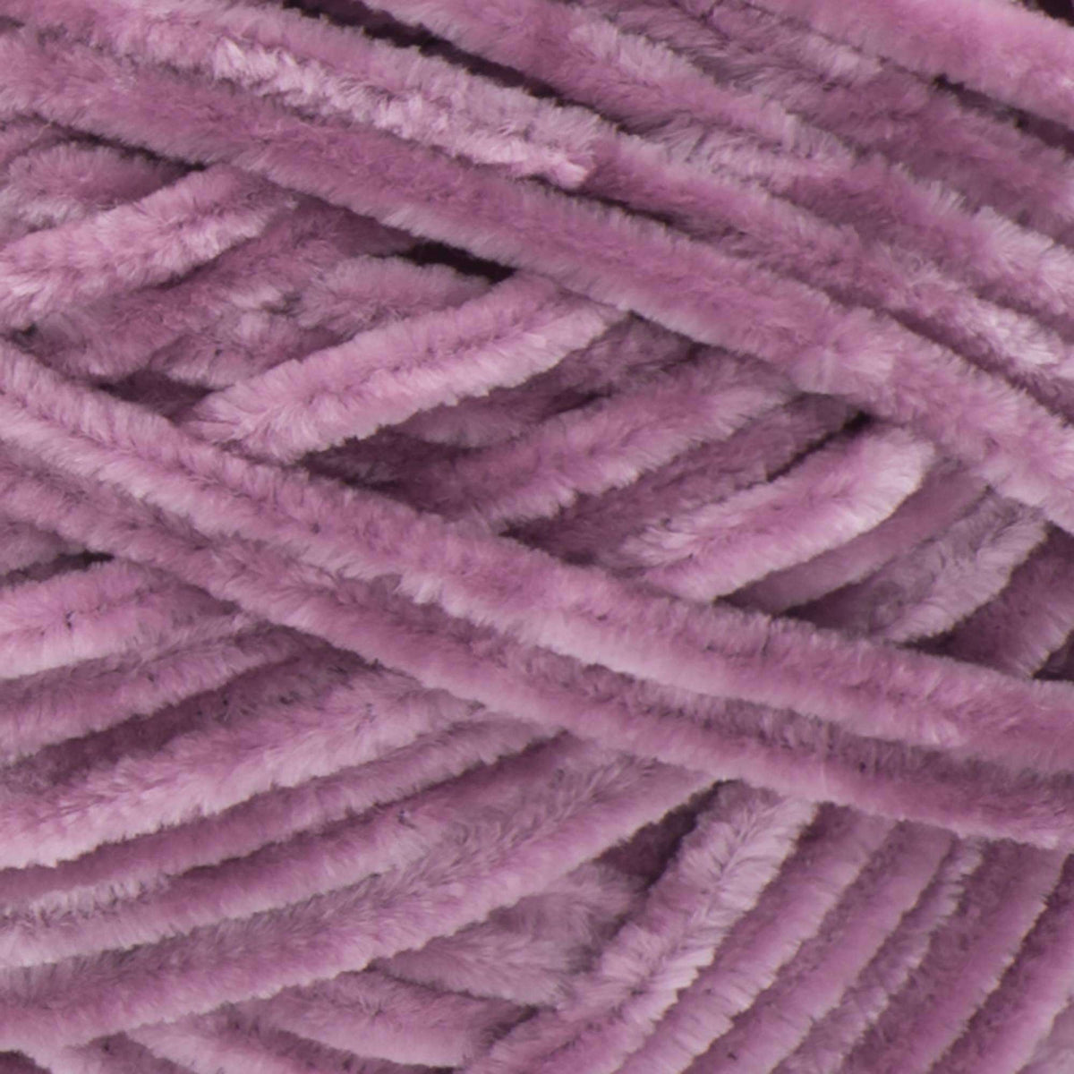Fairy Lavender