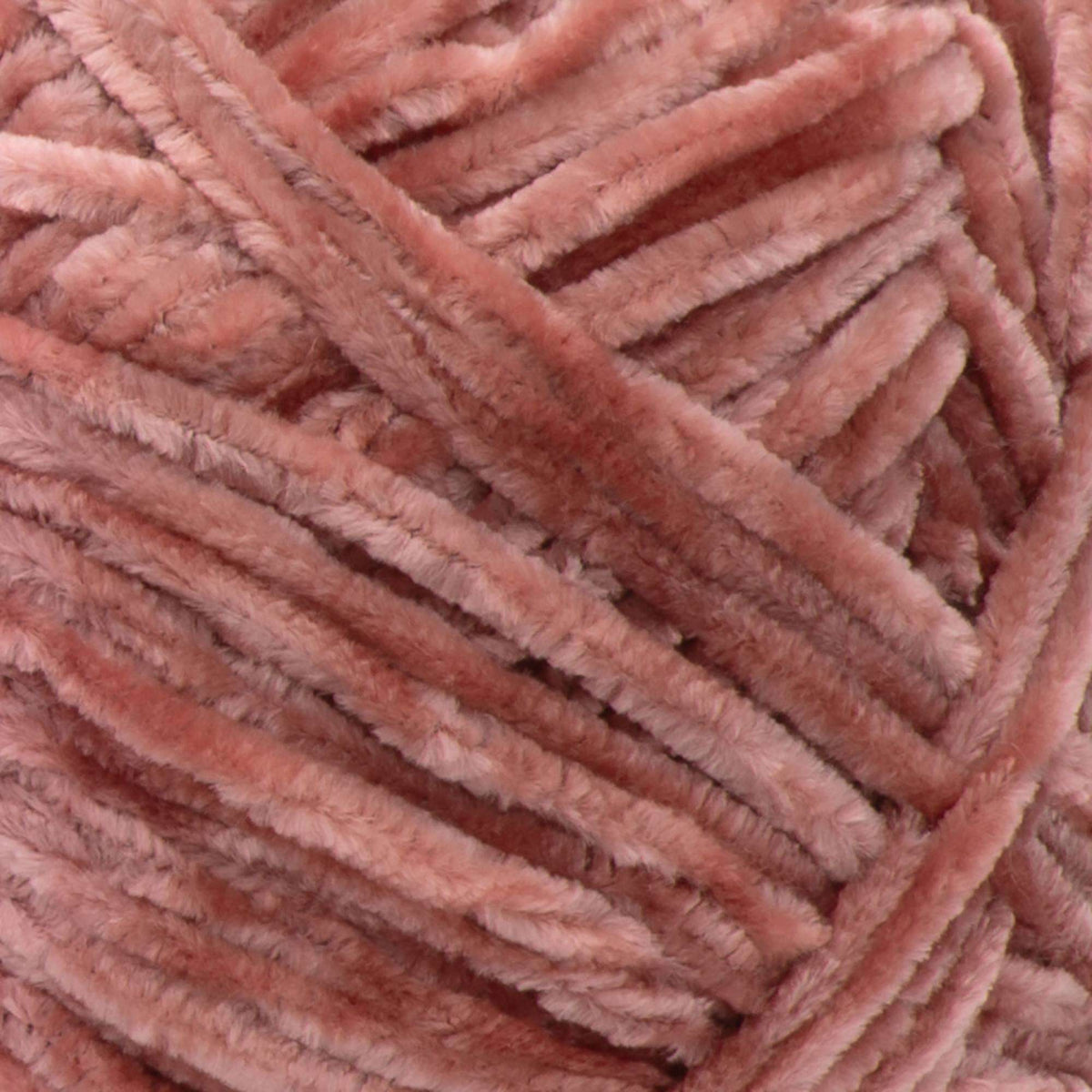 Terracotta Rose
