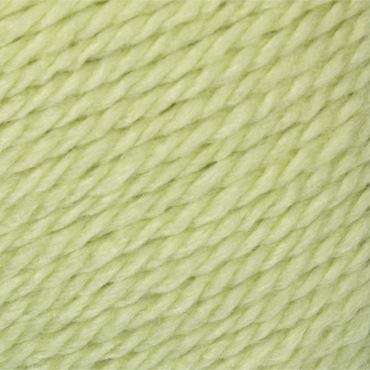 Soft Fern