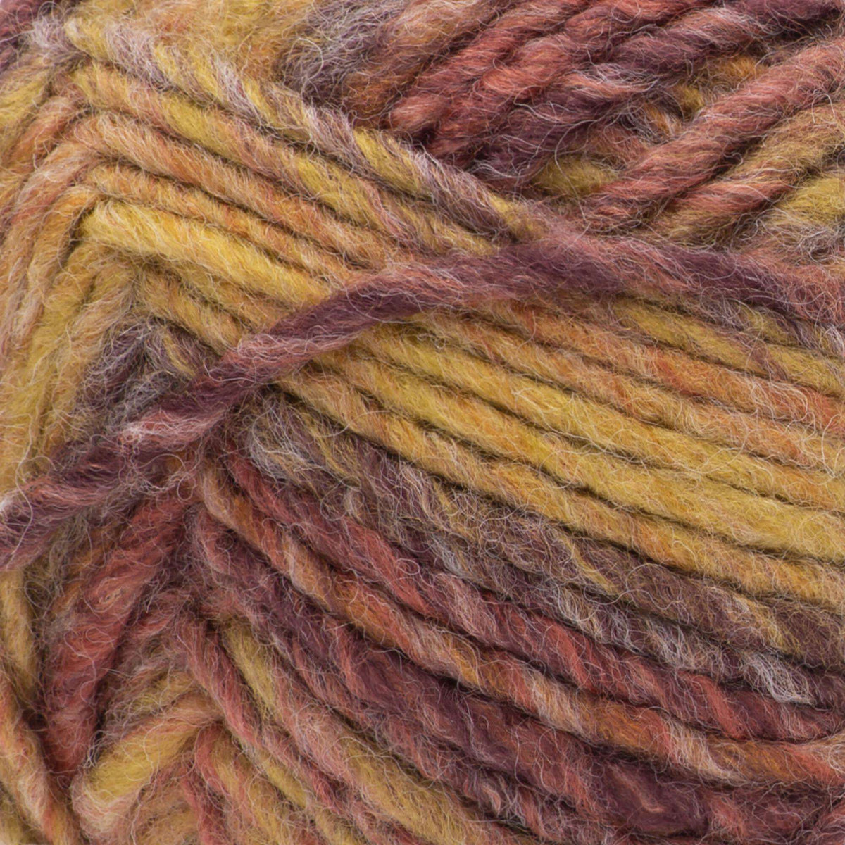 Autumn Maple