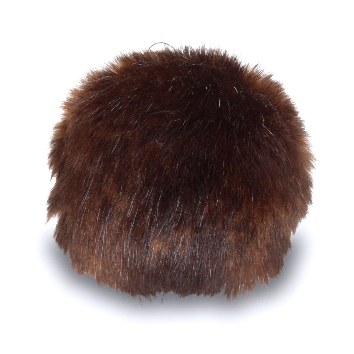 Brown Muskrat