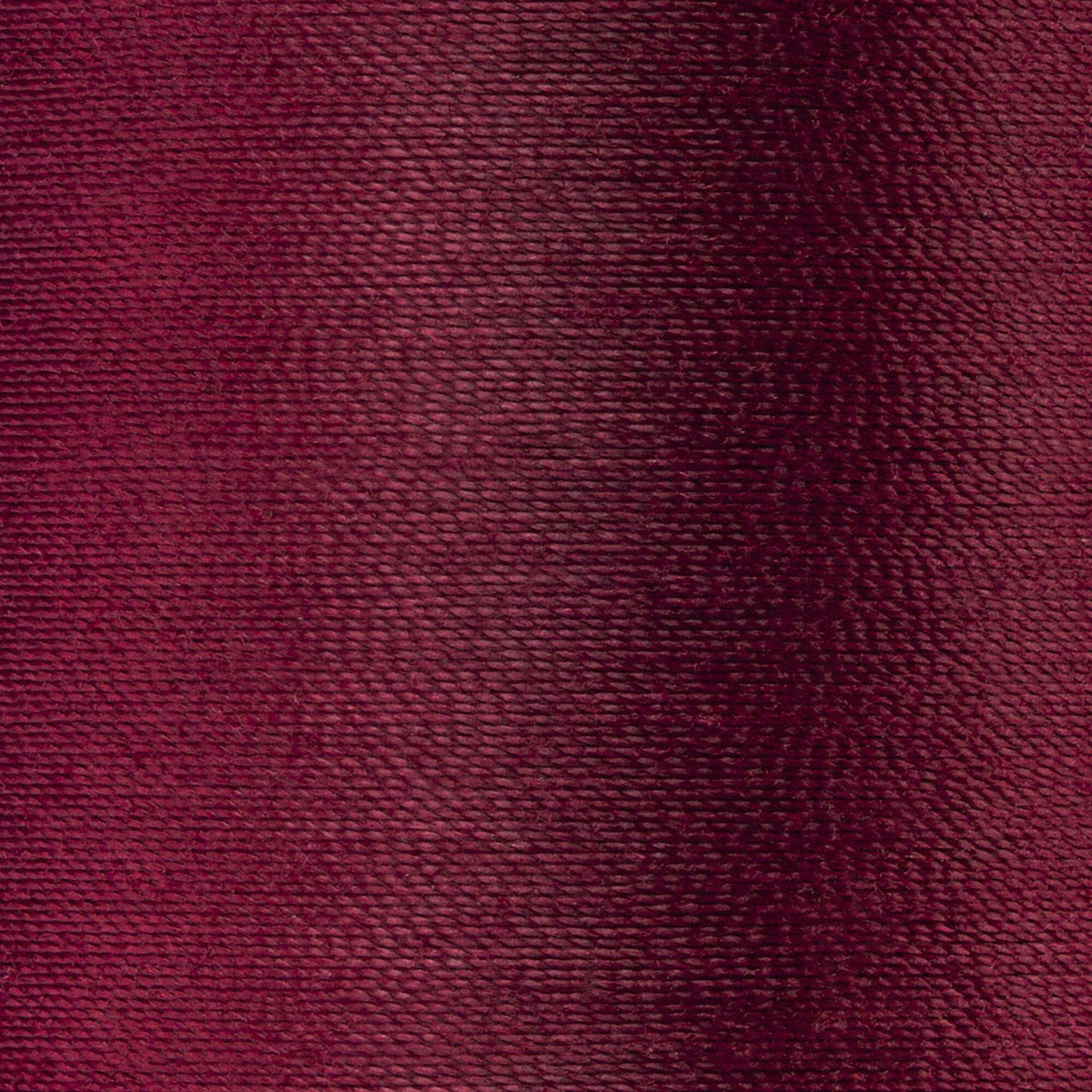 Barberry Red