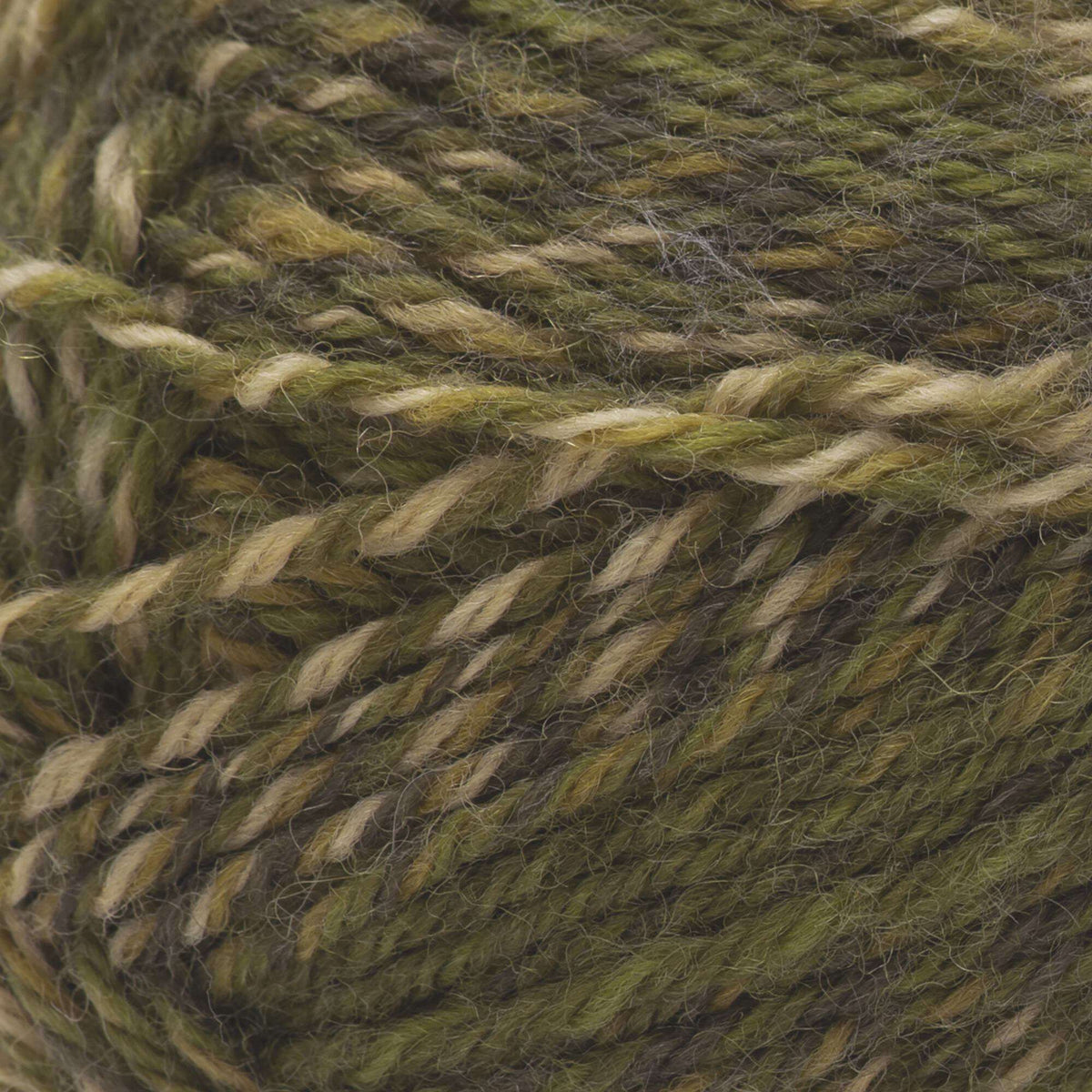 Mossy Colors
