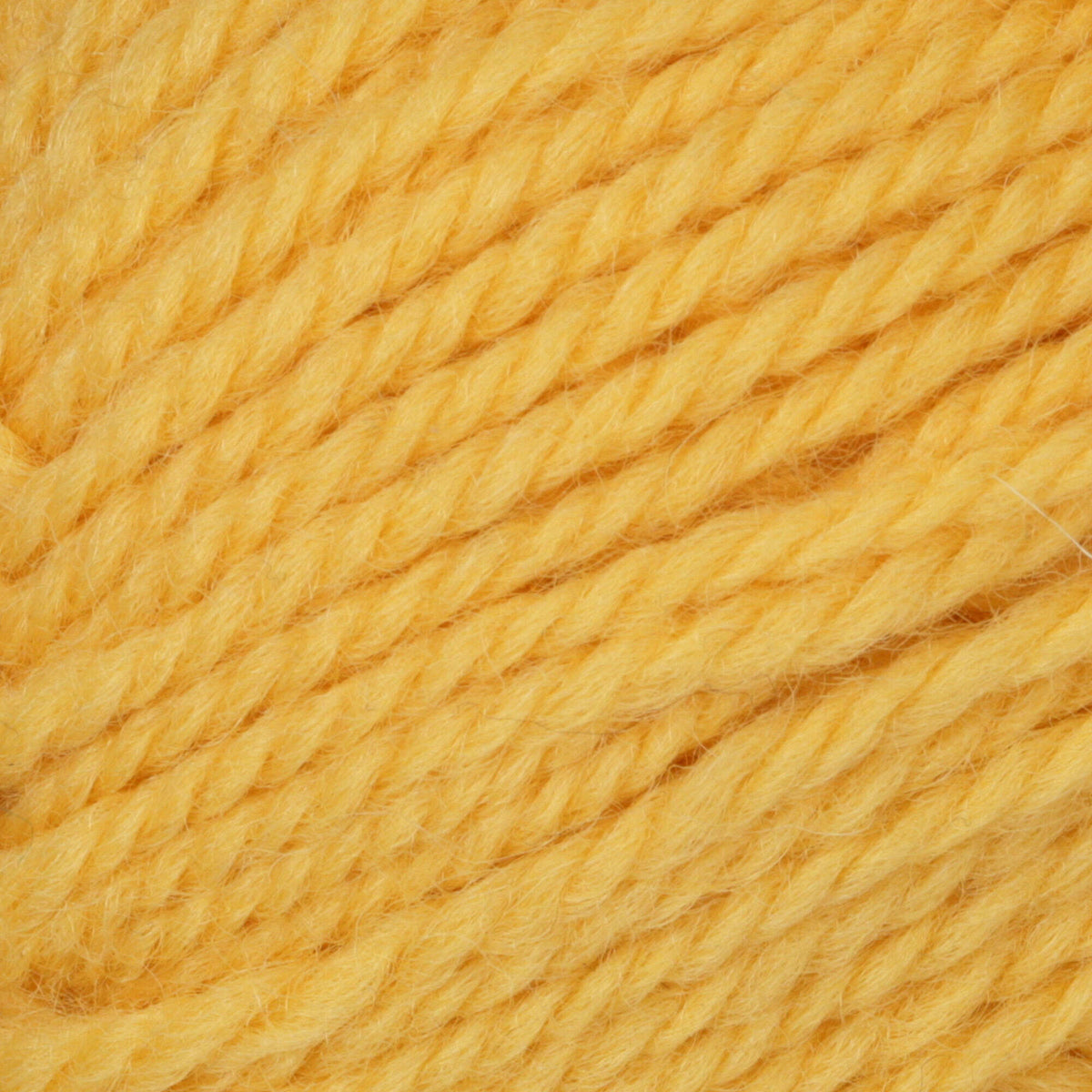 Sunset Gold