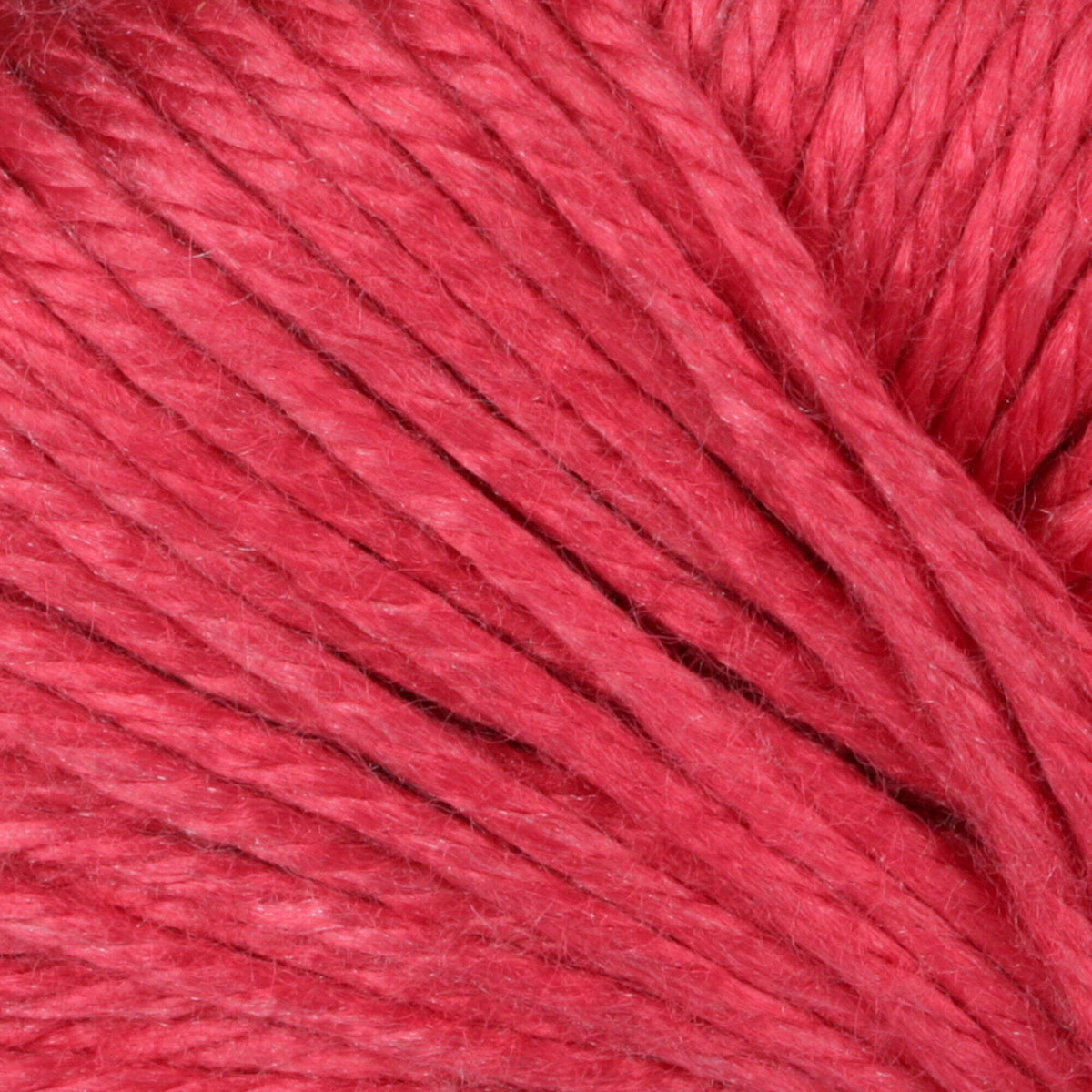 Petunia Pink