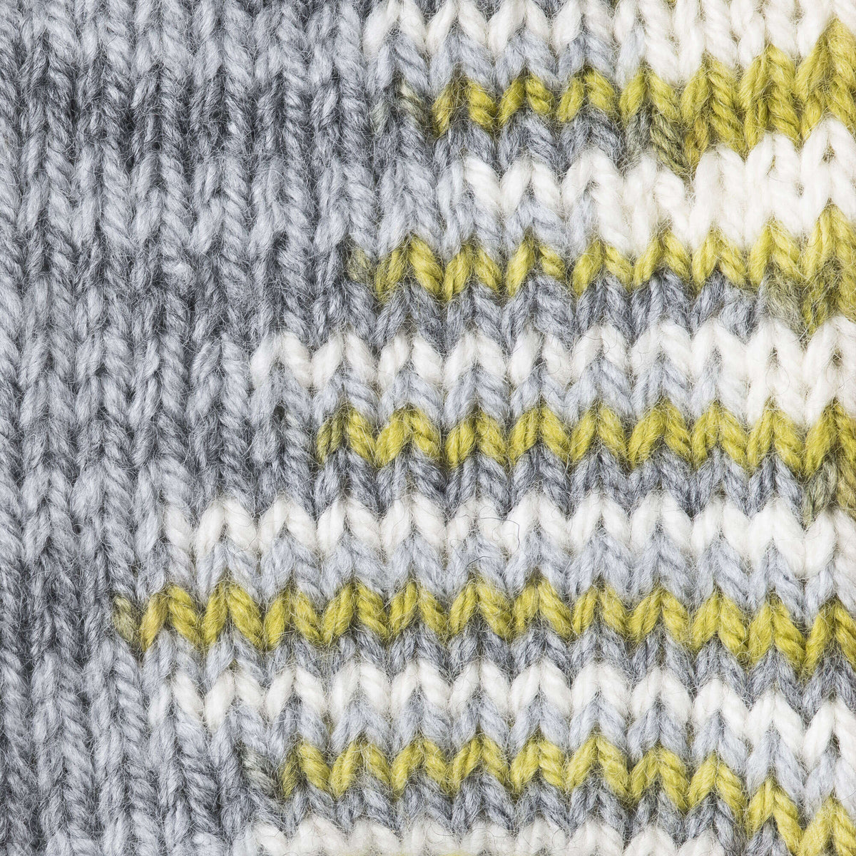 Frond Variegated