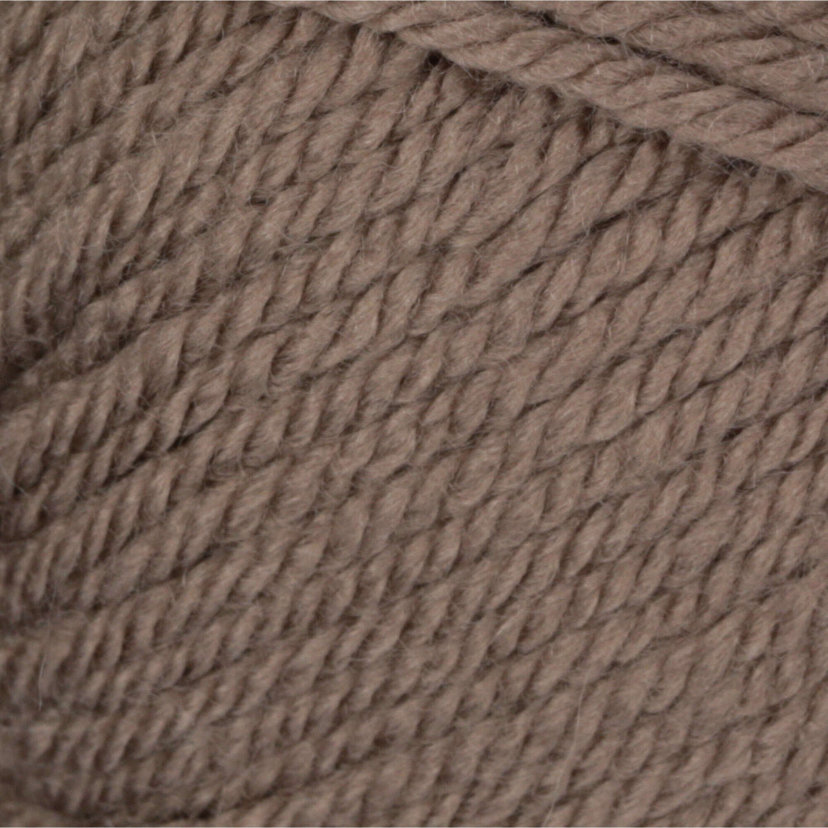 Toasty Gray