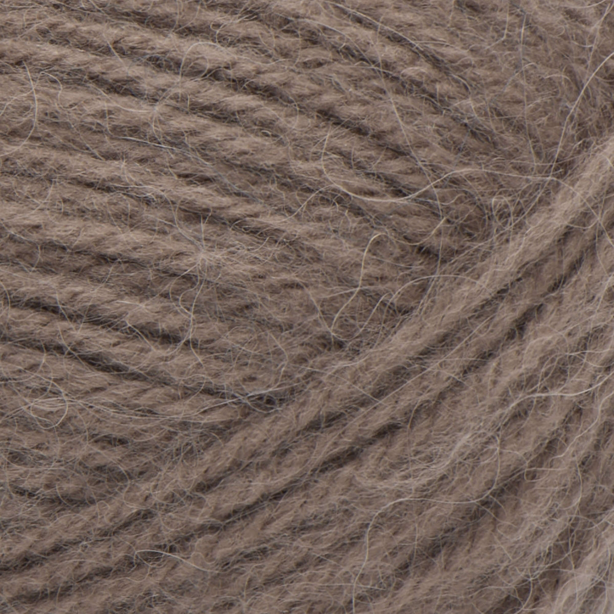 Bark
