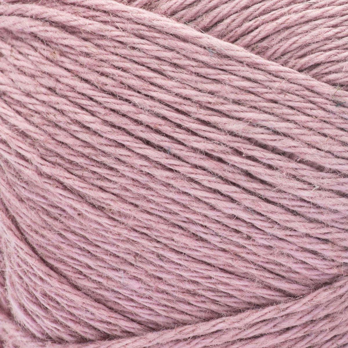 English Rose