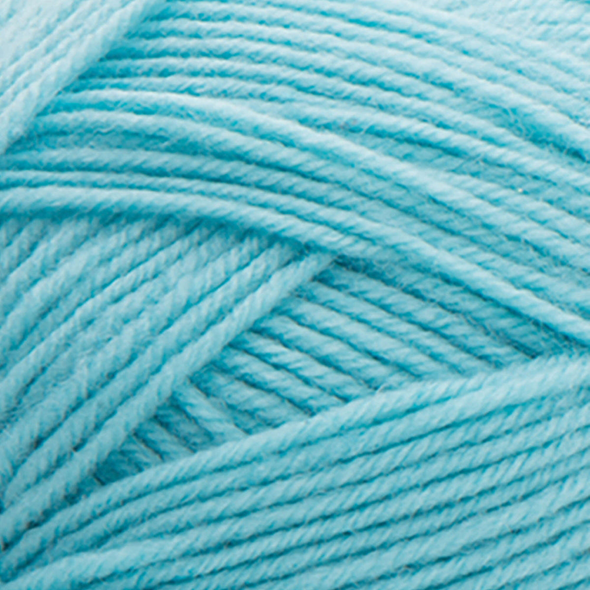 Robin's Egg Blue