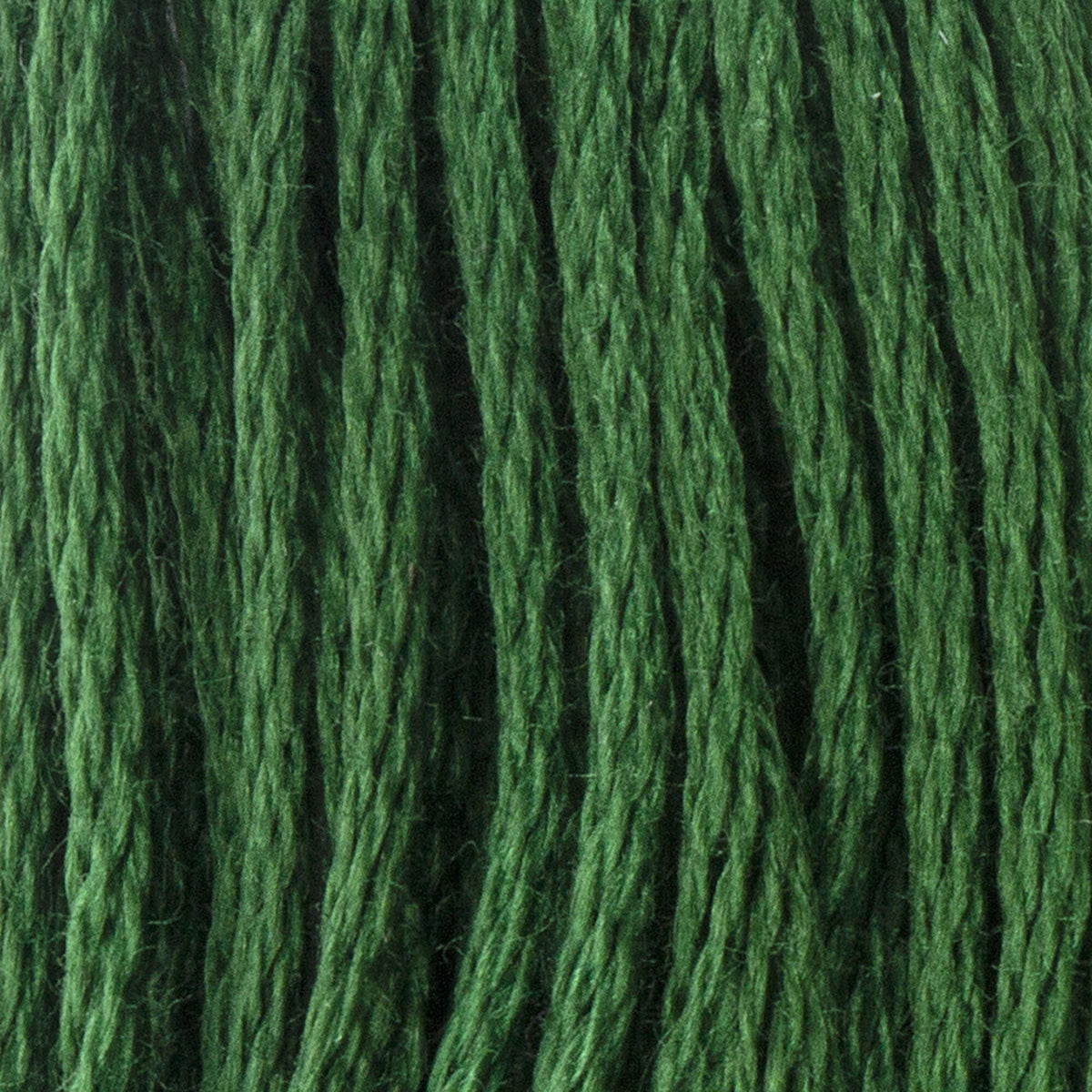 246