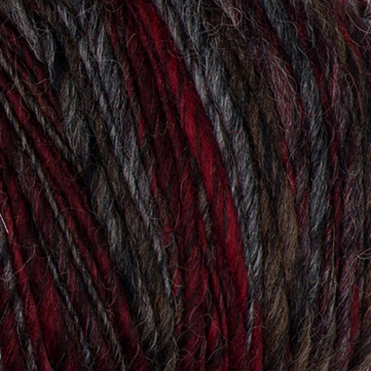 Speckled Scarlet