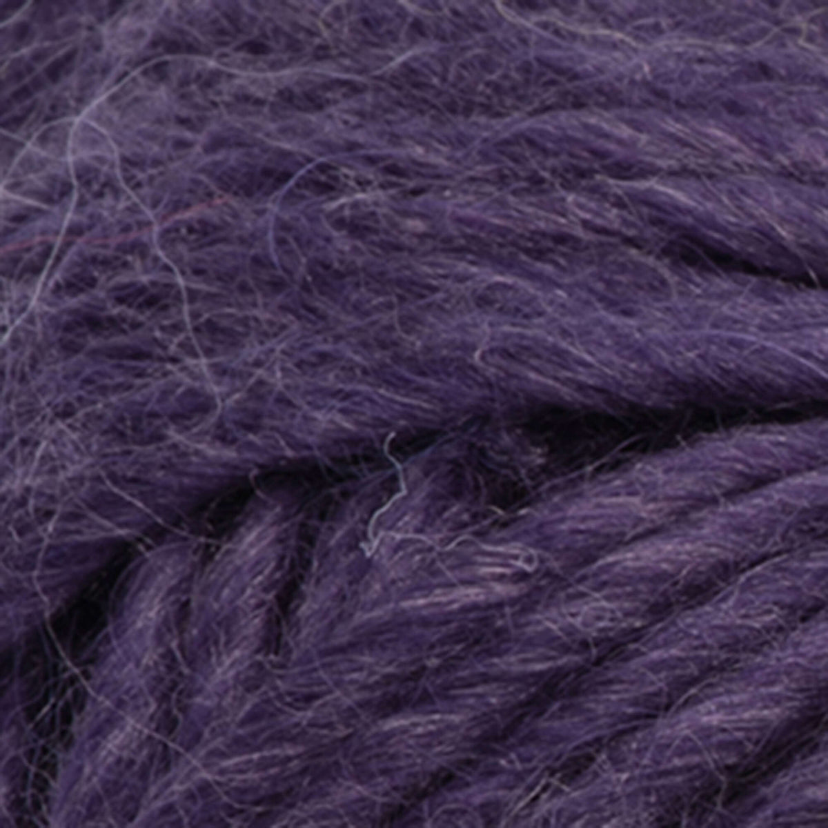 Arctic Purple