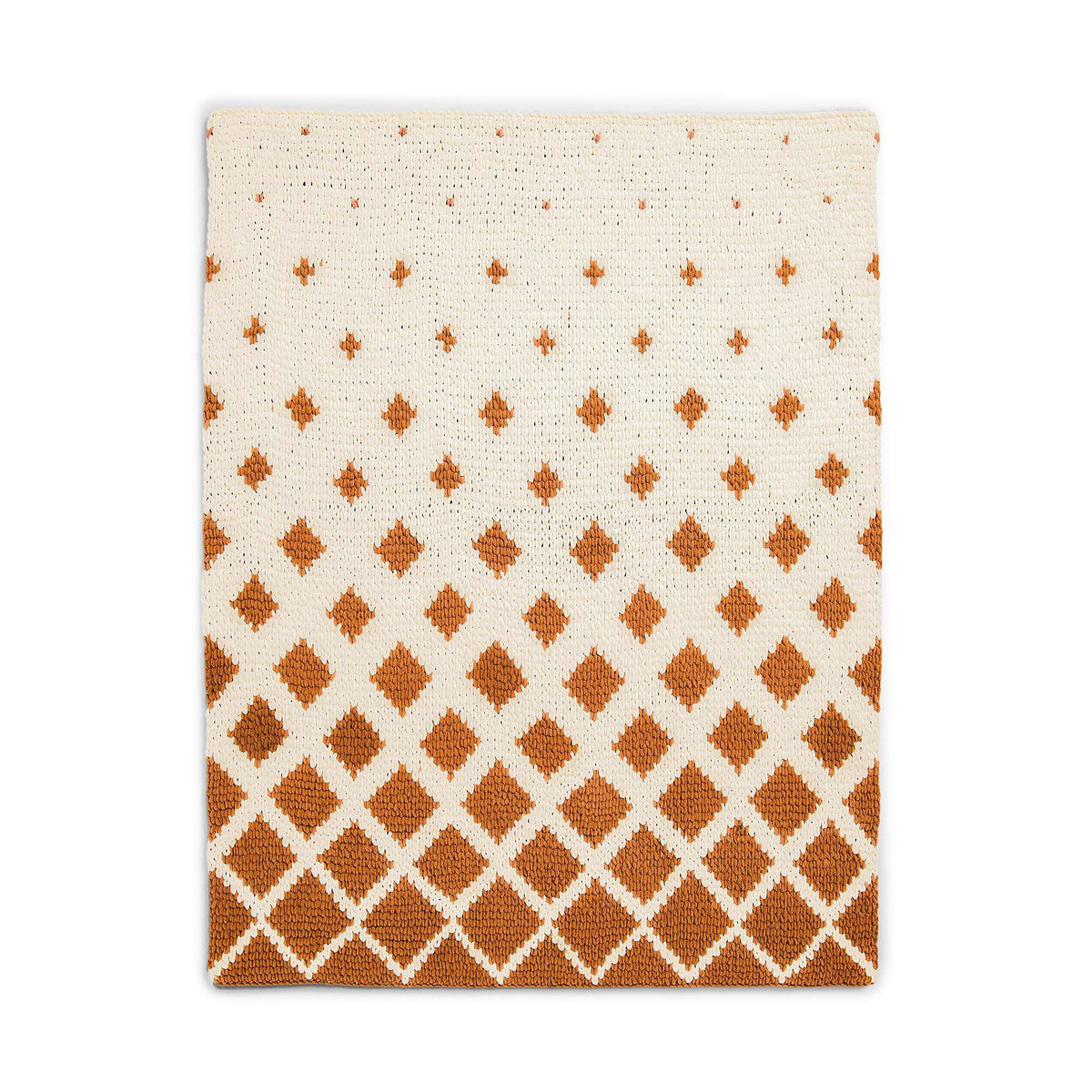 Craft Blanket made in Bernat Blanket EZ Graph-it yarn