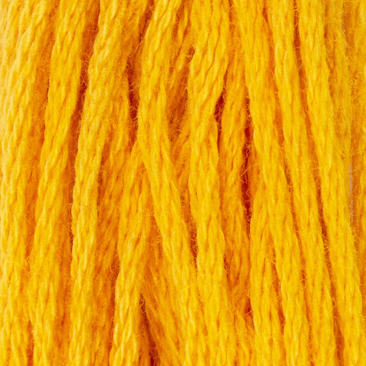 Orange Light