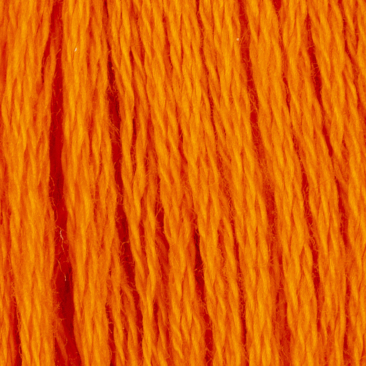Burnt Orange