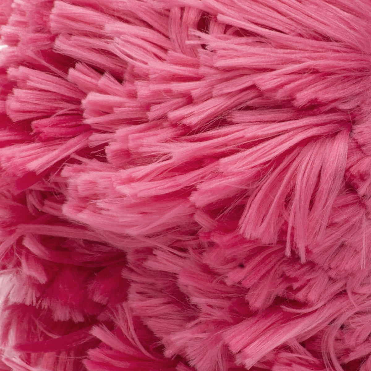 Tulip Pink