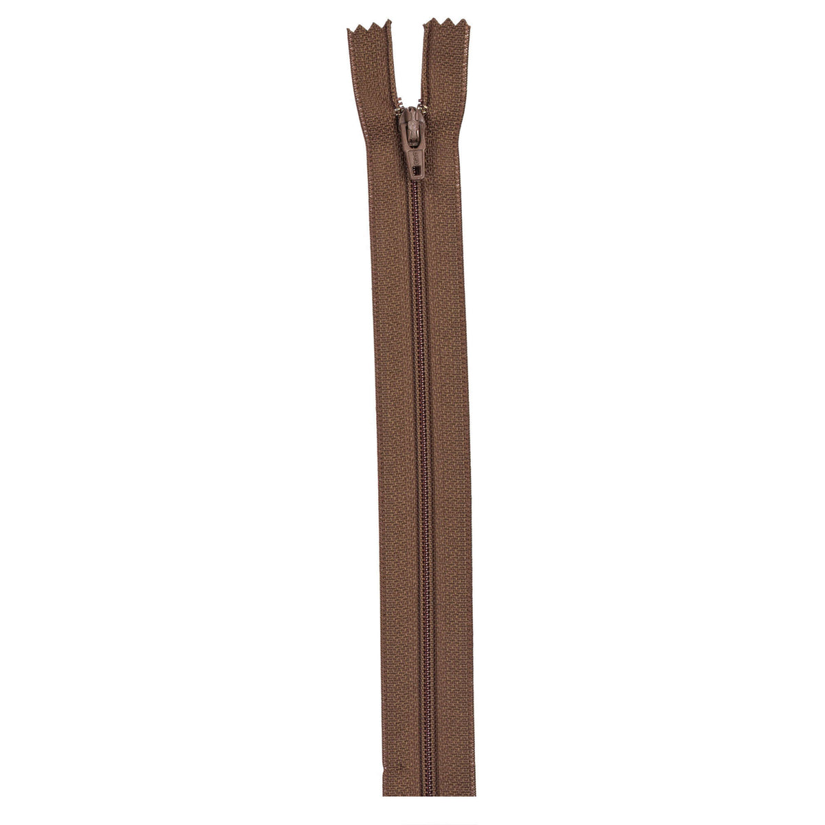 Summer Brown