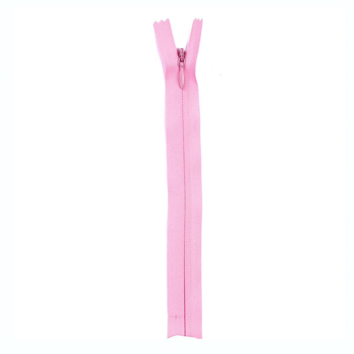 Carnation