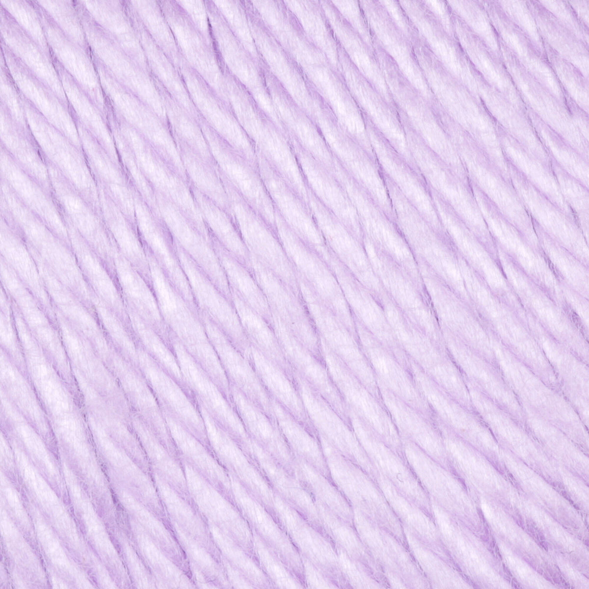 Orchid