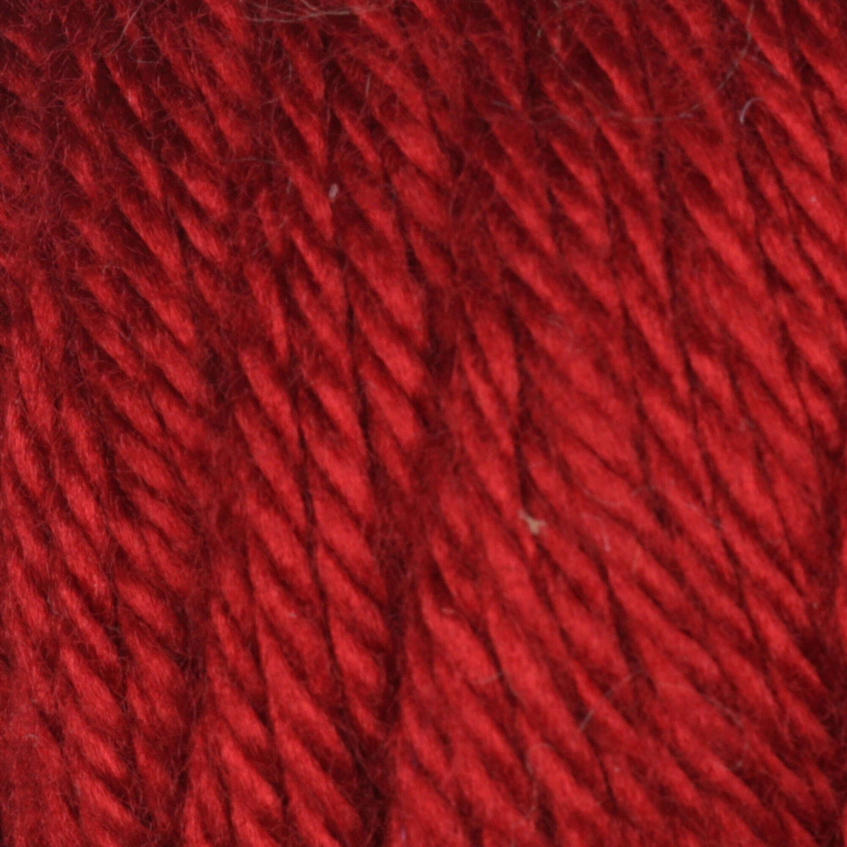 Autumn Red