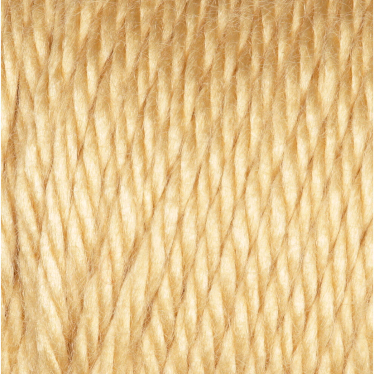 Autumn Maize