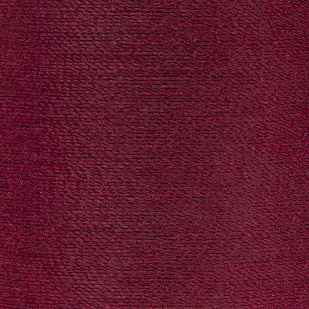 Barberry Red