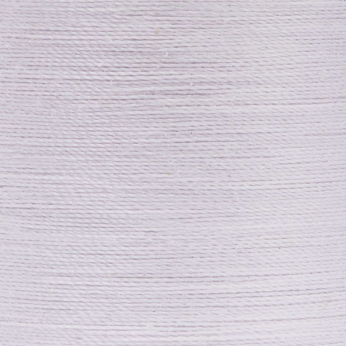 Lavender Tiny