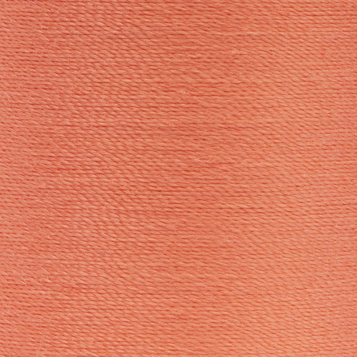 Bright Coral