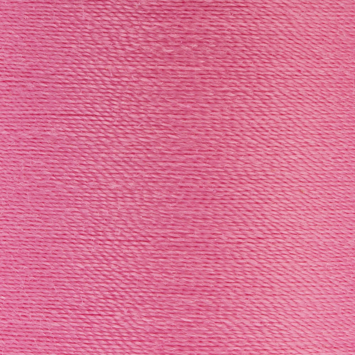 Bubblegum