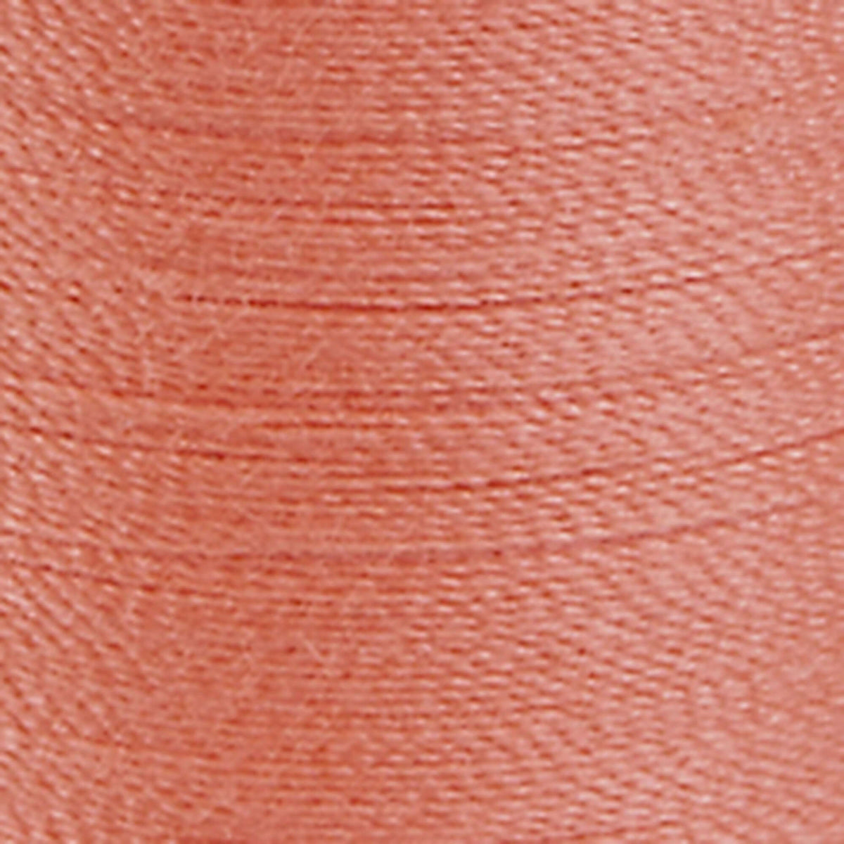 Orange Coral