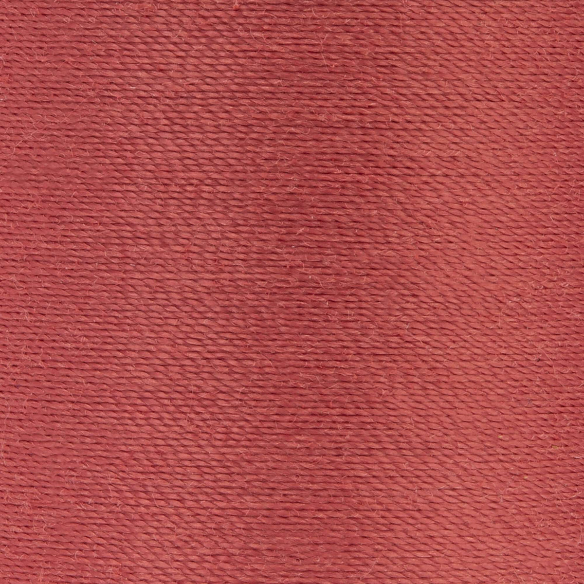 Cameo Pink