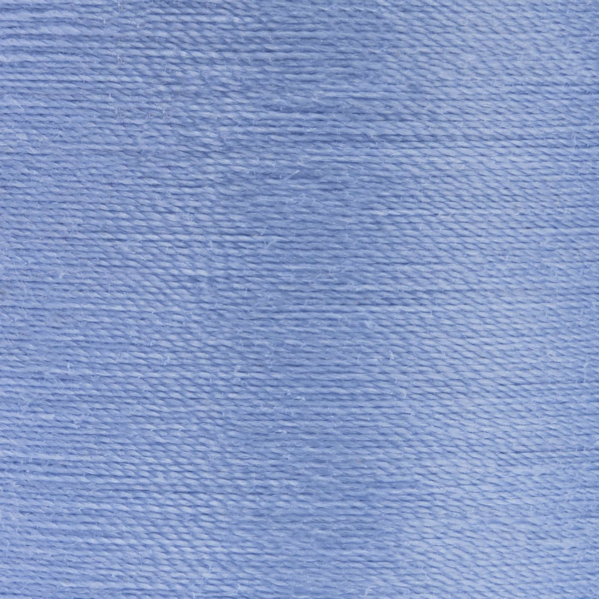 Blue Bonnet