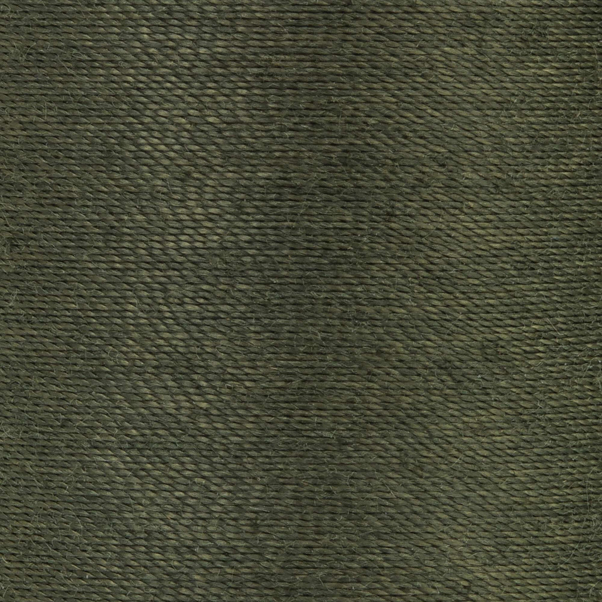 Spinach