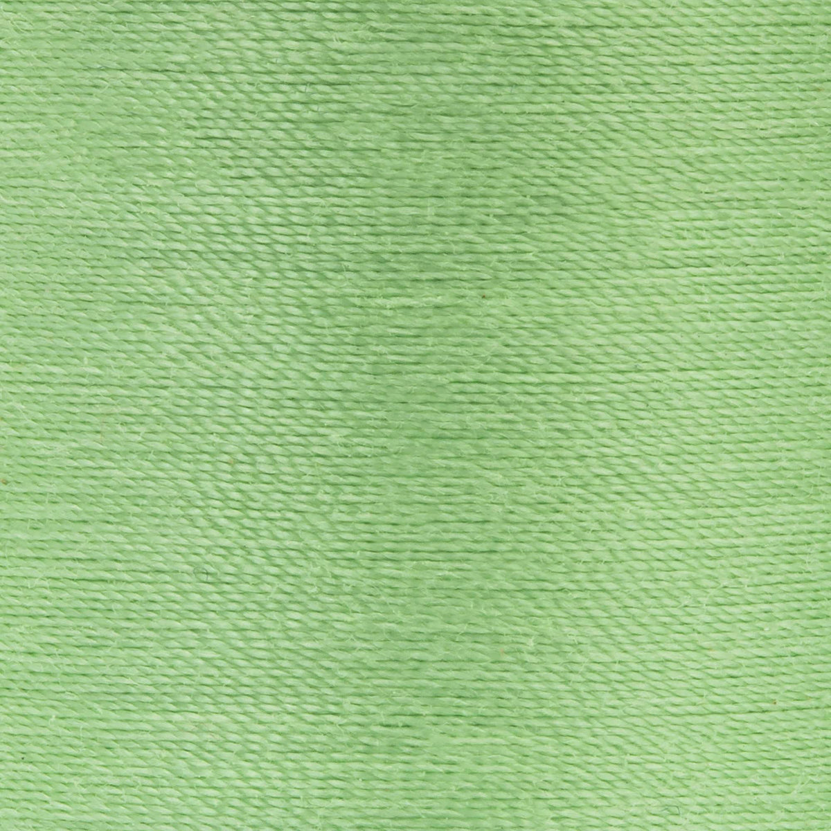 Dark Nile Green
