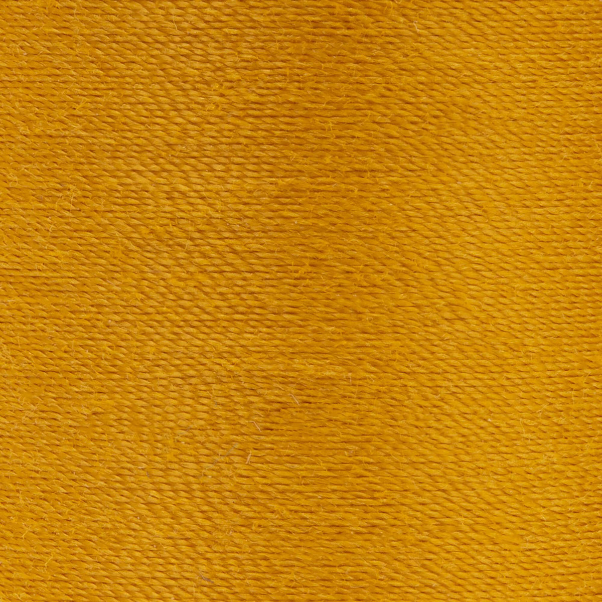 Spanish Gold