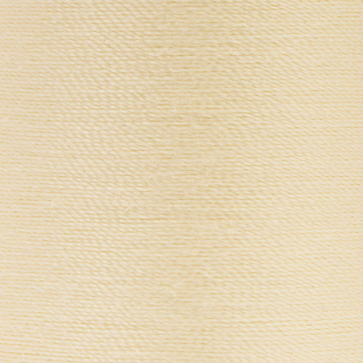 Chamois