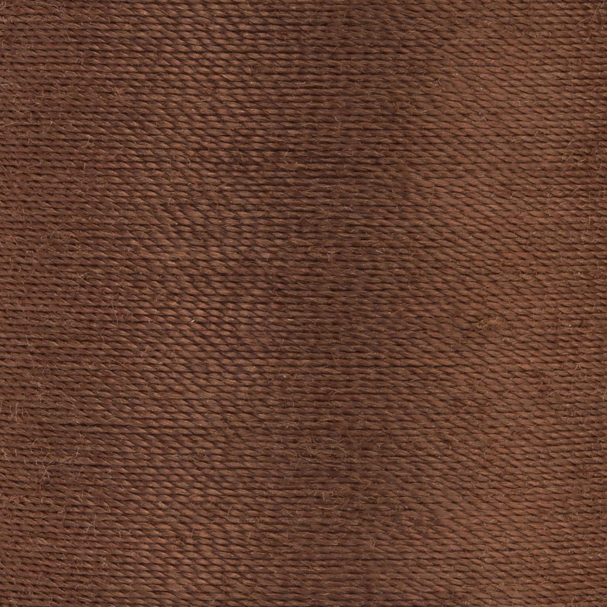 Brown Chestnut