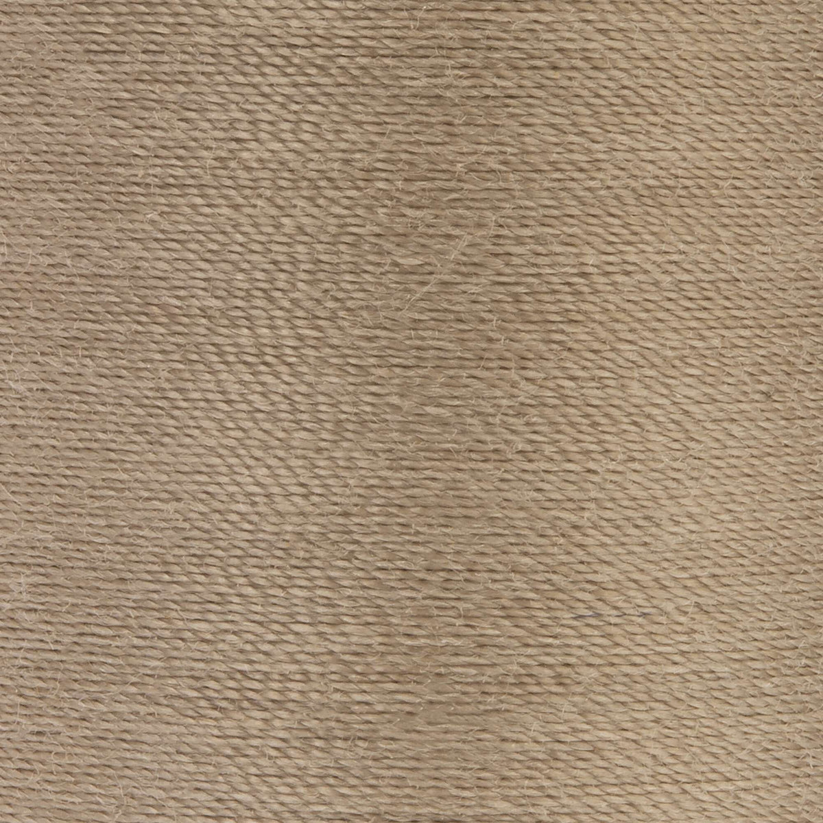 Dogwood