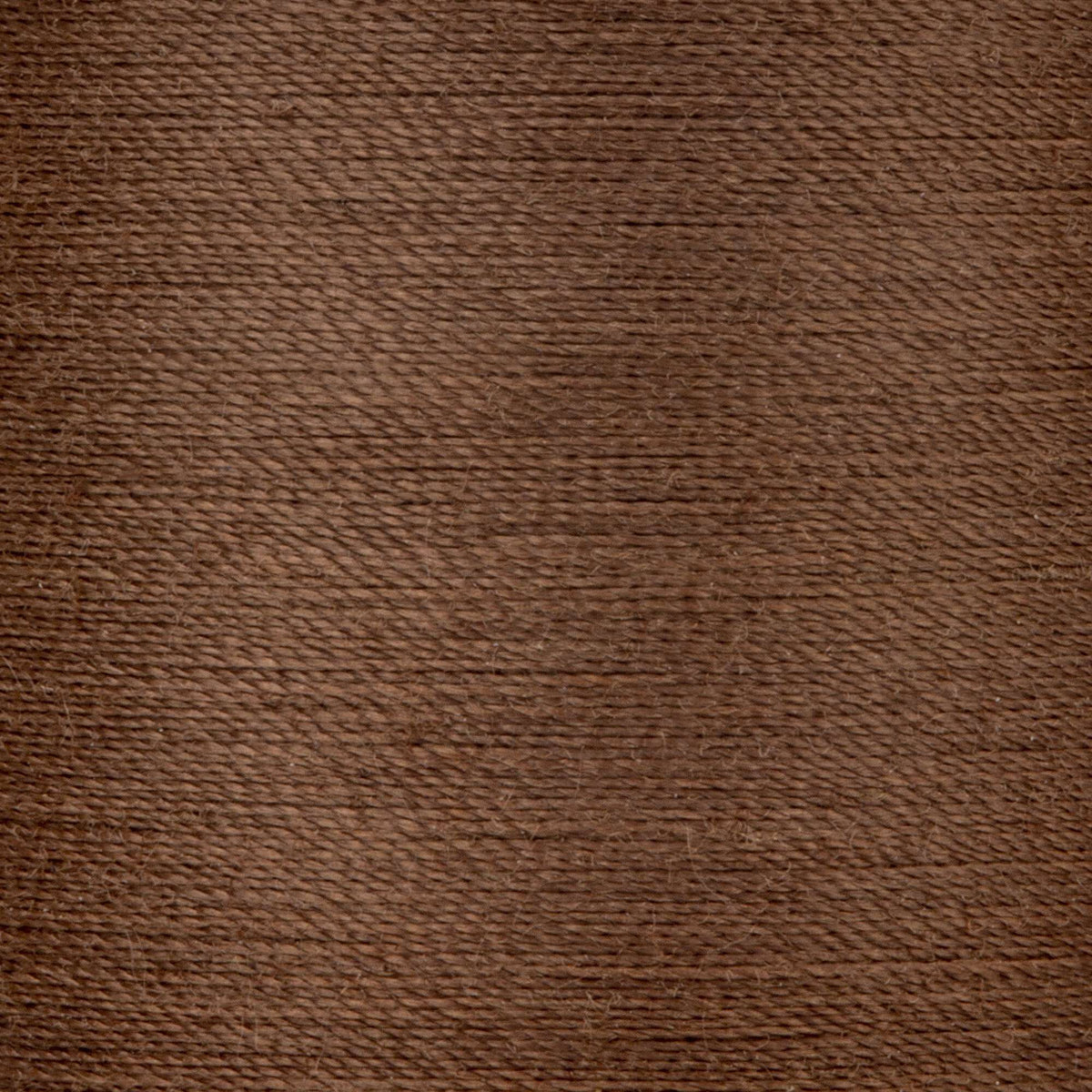 Summer Brown