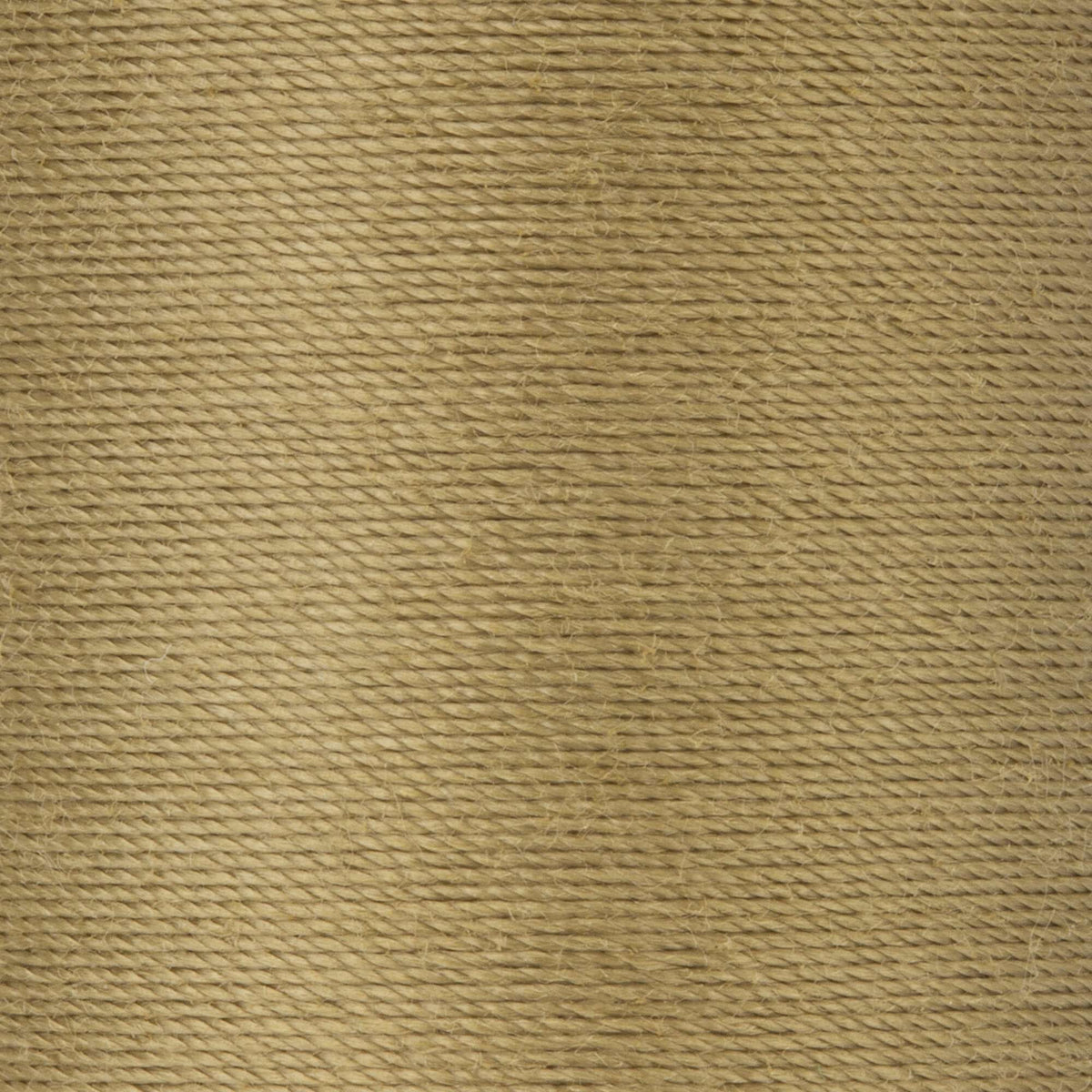 Dark Khaki