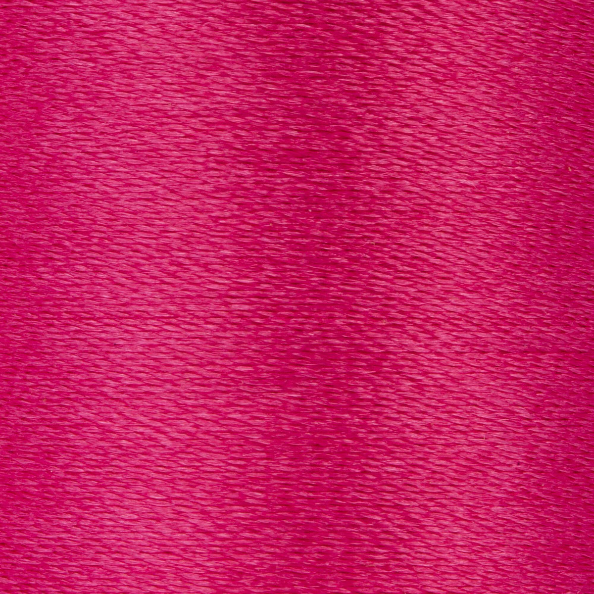 Bright Rose