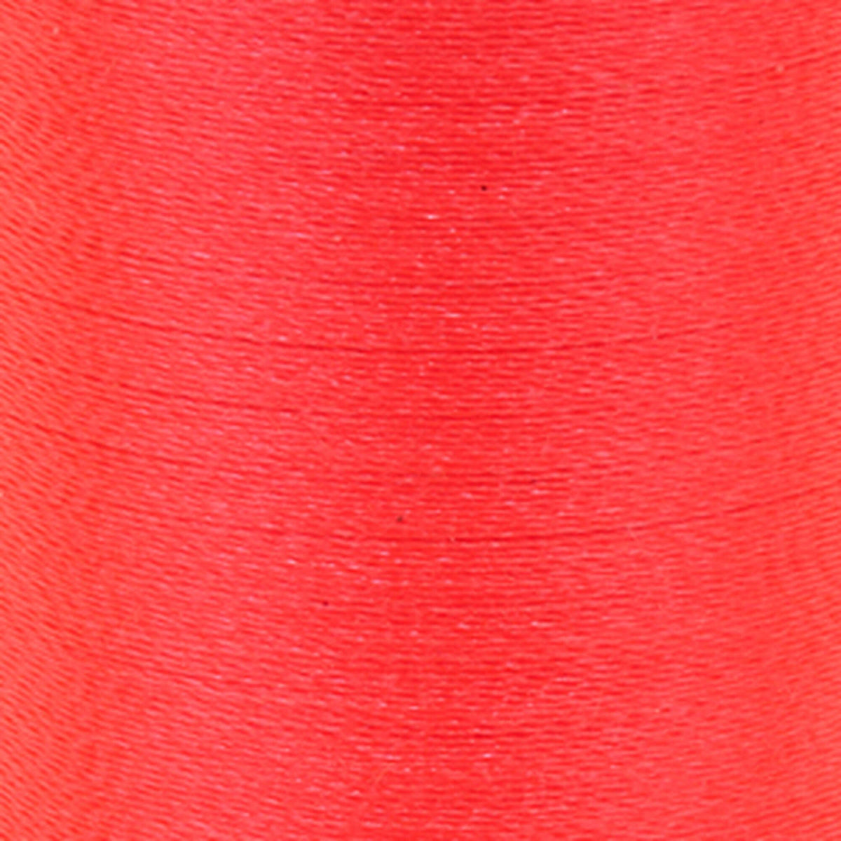 Neon Coral