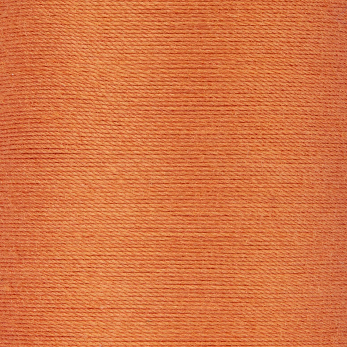 Dark Orange