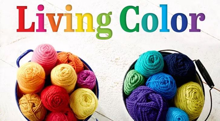 Image of Living Life in Color! thumbnail