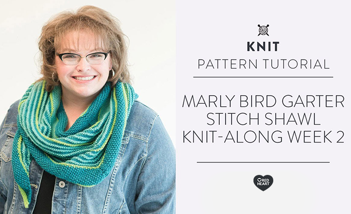 Image of Marly Bird Garter Stitch Shawl Knitalong Week 2 thumbnail