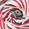 Mistletoe